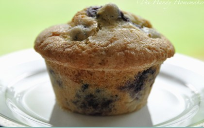 Easy Master Muffin Mix2